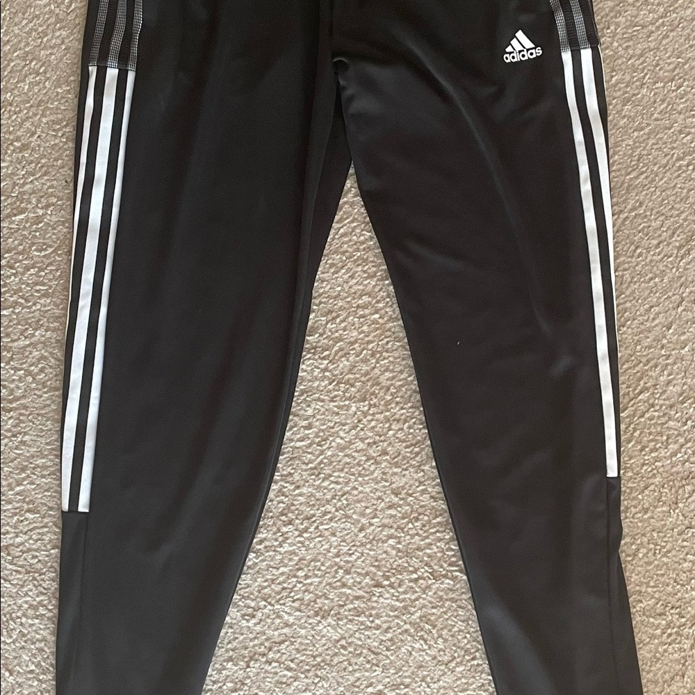 Addidas pants